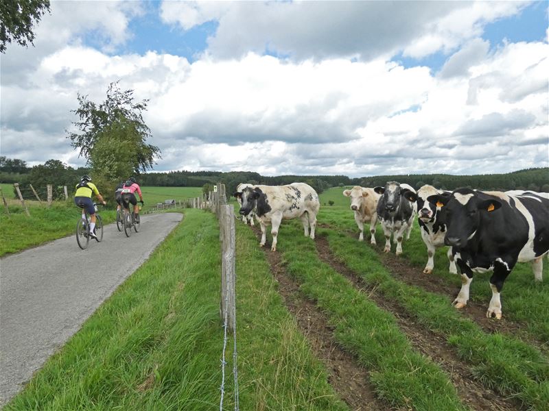 Vakantiegroeten uit Houffalize