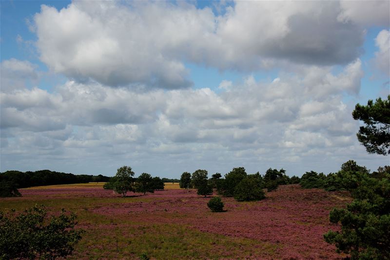 Vakantiegroeten uit Houthalen