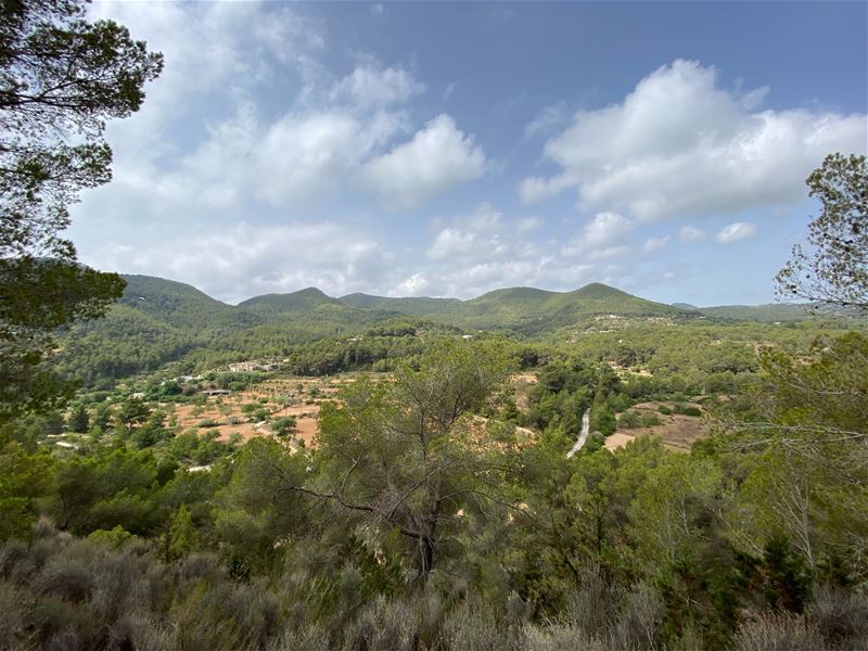 Vakantiegroeten uit Ibiza