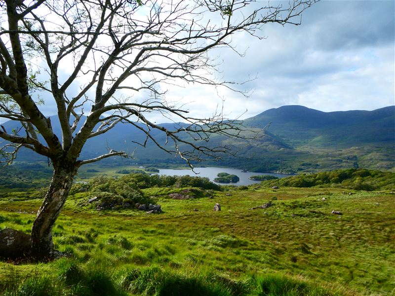 Vakantiegroeten uit Ierland