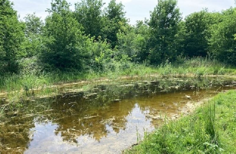 Vakantiegroeten uit Kermt