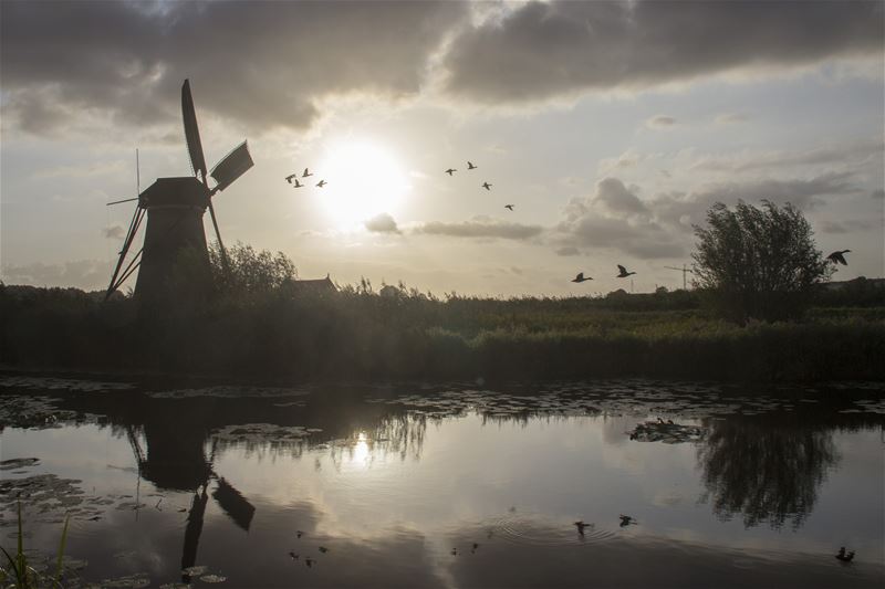 Vakantiegroeten uit Kinderdijk
