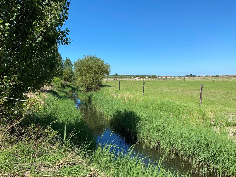 Vakantiegroeten uit Klemskerke