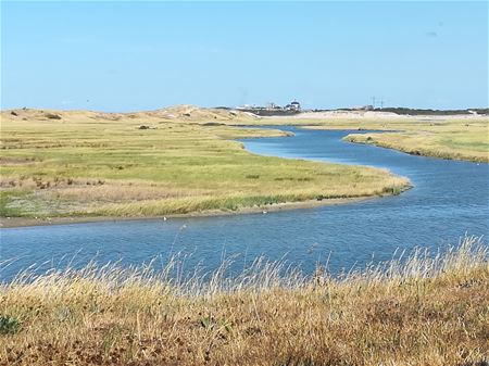 Vakantiegroeten uit Knokke