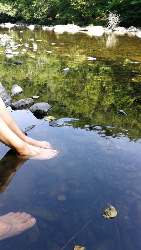 Vakantiegroeten uit La Roche