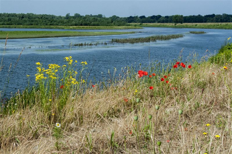 Vakantiegroeten uit Lanaken