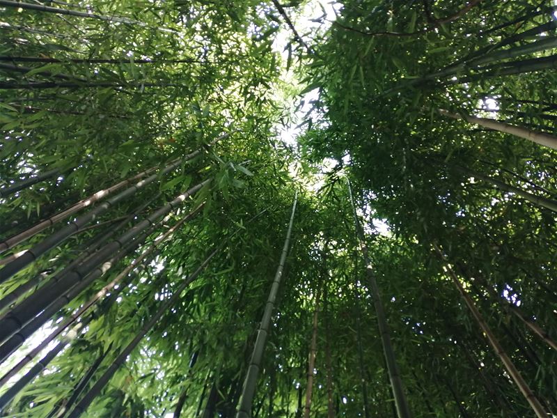 Vakantiegroeten uit Les Eyzies