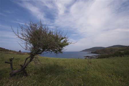 Vakantiegroeten uit ... Lesbos