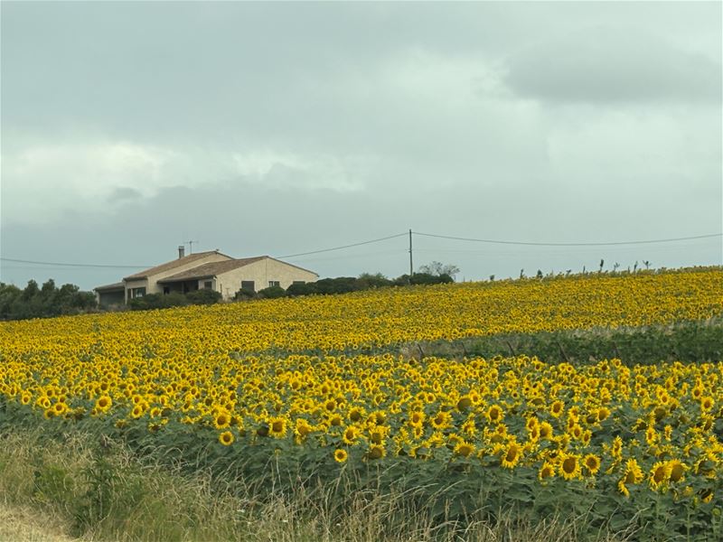 Vakantiegroeten uit Limoux