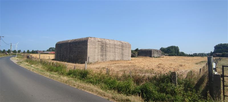 Vakantiegroeten uit Lissewege