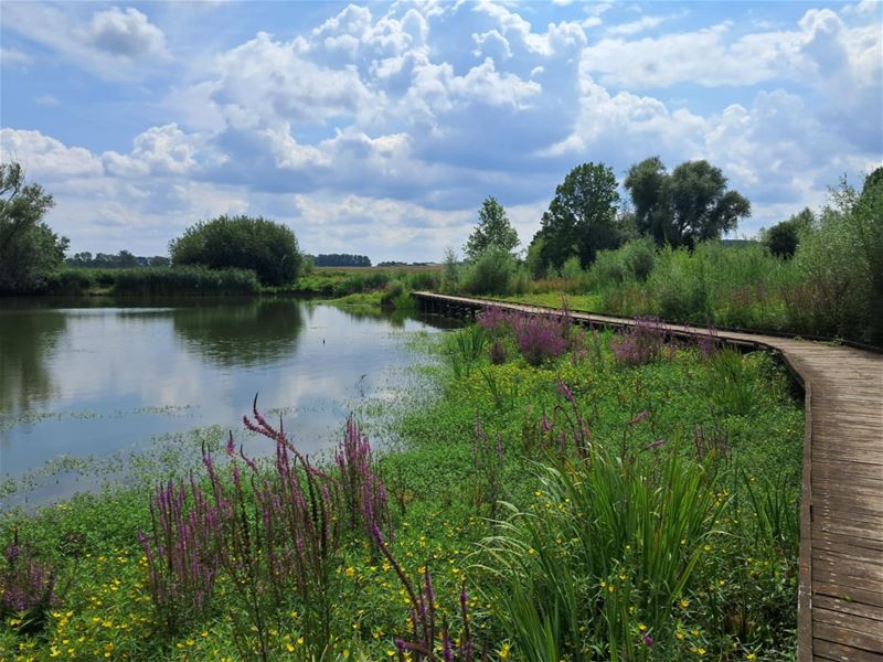 Vakantiegroeten uit Lummen