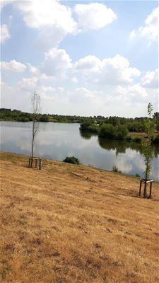 Vakantiegroeten uit Maaseik