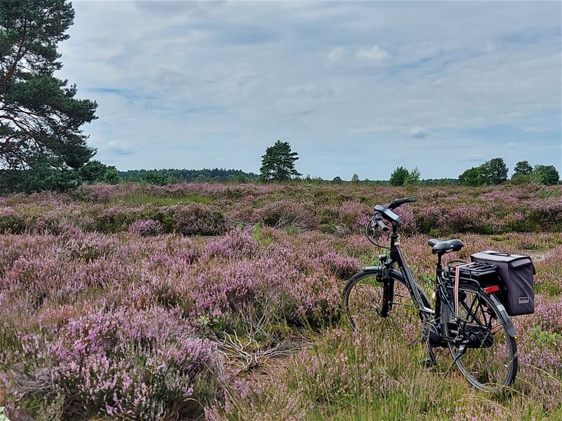 Vakantiegroeten uit Maasmechelen