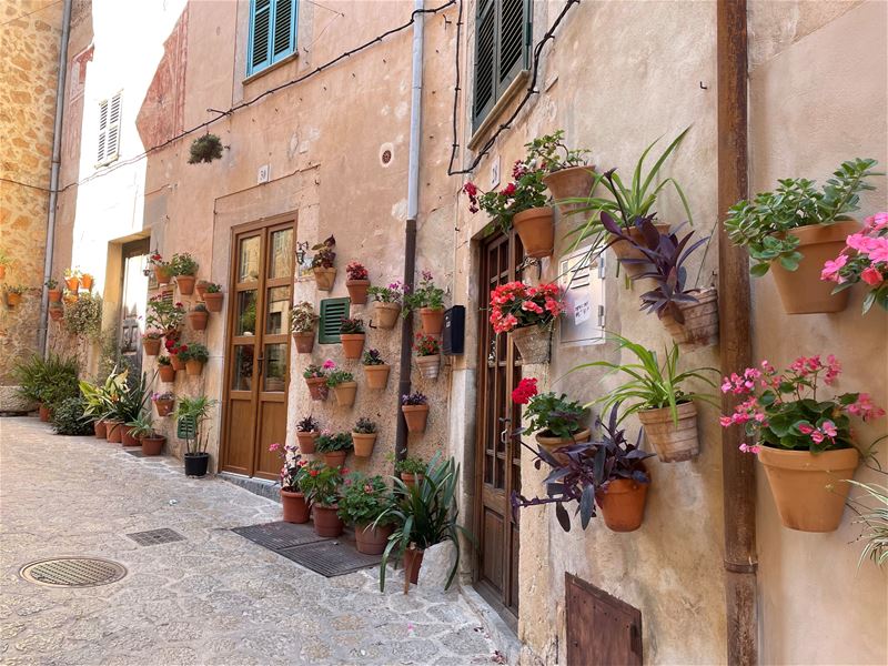 Vakantiegroeten uit Mallorca