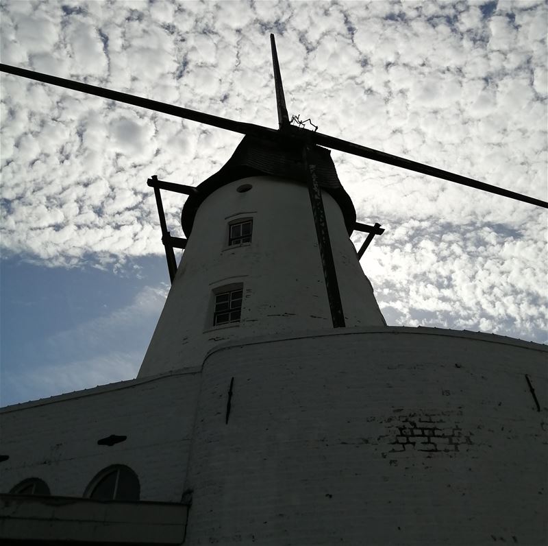 Vakantiegroeten uit Marke