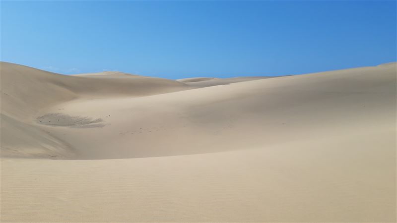 Vakantiegroeten uit Maspalomas