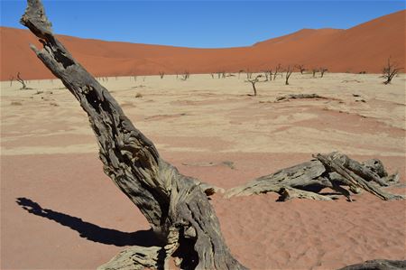 Vakantiegroeten uit Namibië