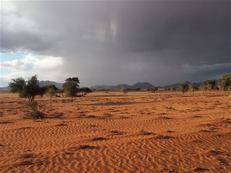 Vakantiegroeten uit Namibië