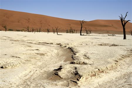 Vakantiegroeten uit Namibië