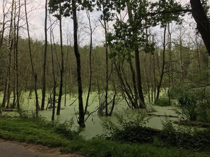 Vakantiegroeten uit Neerglabbeek