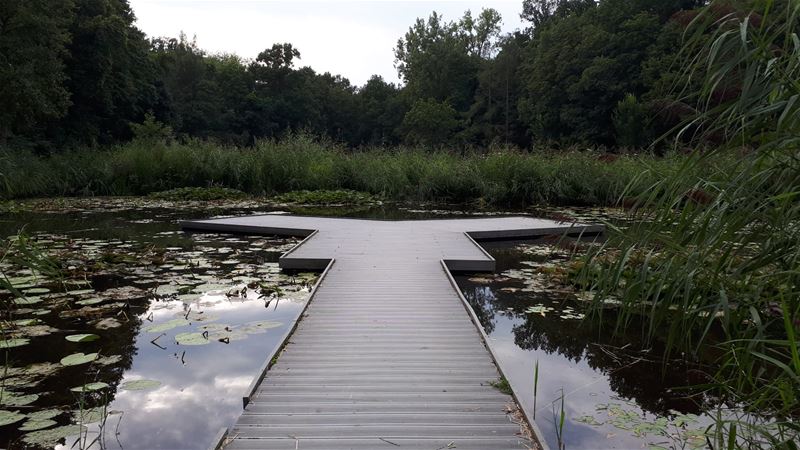 Vakantiegroeten uit Nieuwenhoven