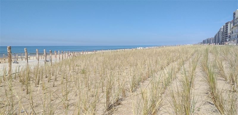 Vakantiegroeten uit Nieuwpoort