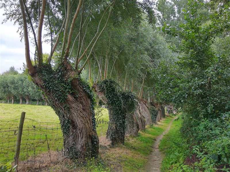 Vakantiegroeten uit Nokere