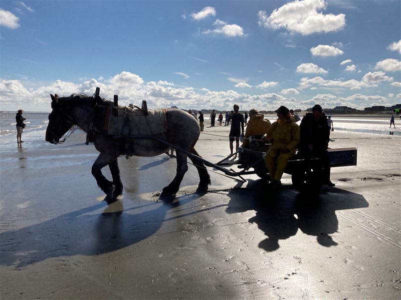 Vakantiegroeten uit Oostduinkerke