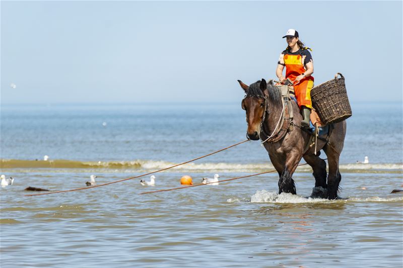 Vakantiegroeten uit Oostduinkerke