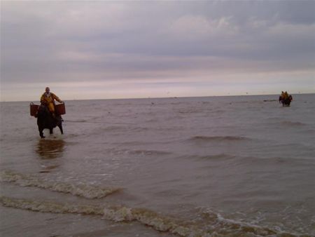 Vakantiegroeten uit ... Oostduinkerke