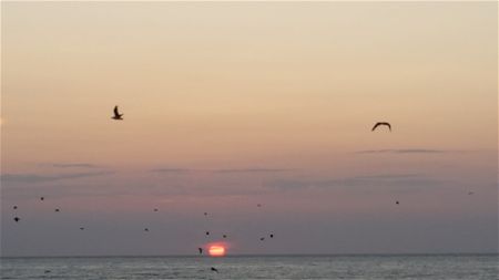 Vakantiegroeten uit Oostende