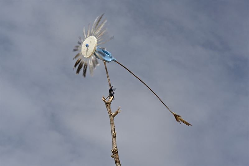 Vakantiegroeten uit Renesse