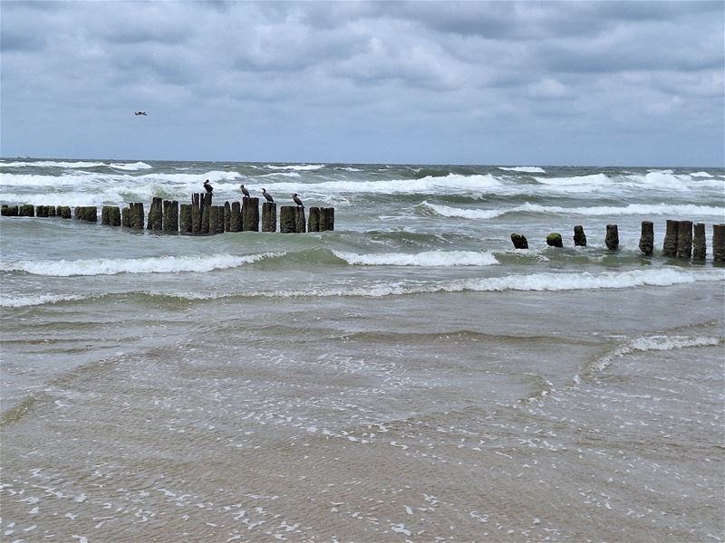 Vakantiegroeten uit Schoorl aan Zee