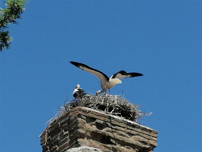 Vakantiegroeten uit  Selçuk