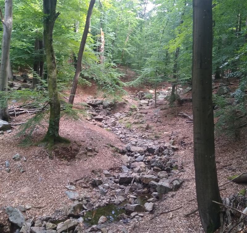 Vakantiegroeten uit Spa