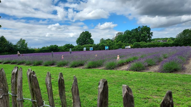 Vakantiegroeten uit Stokrooie