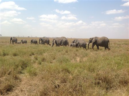 Vakantiegroeten uit Tanzania