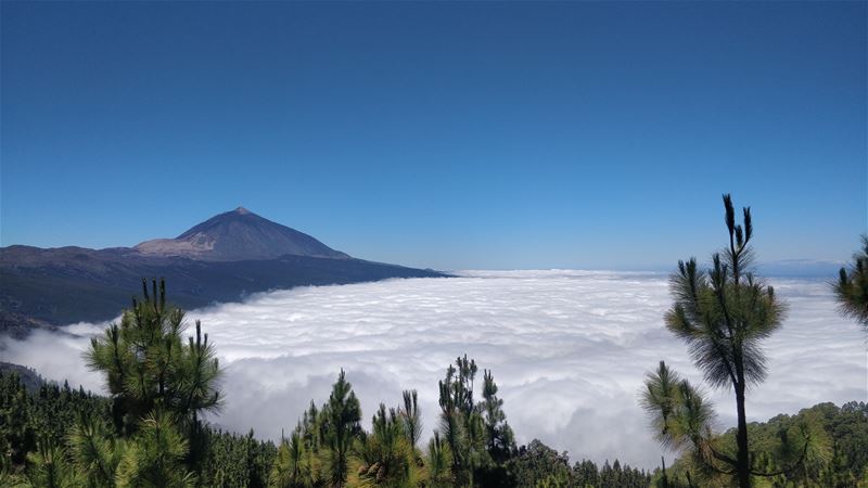 Vakantiegroeten uit Tenerife