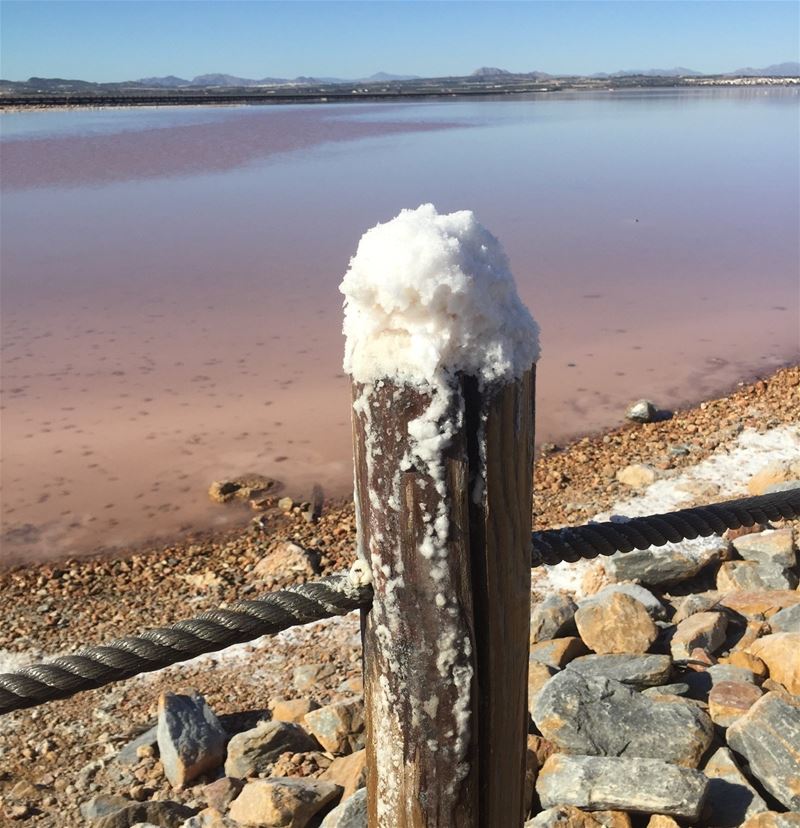 Vakantiegroeten uit Torrevieja