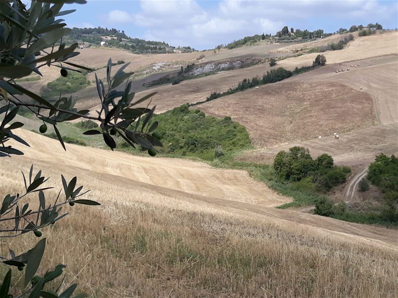 Vakantiegroeten uit Toscane