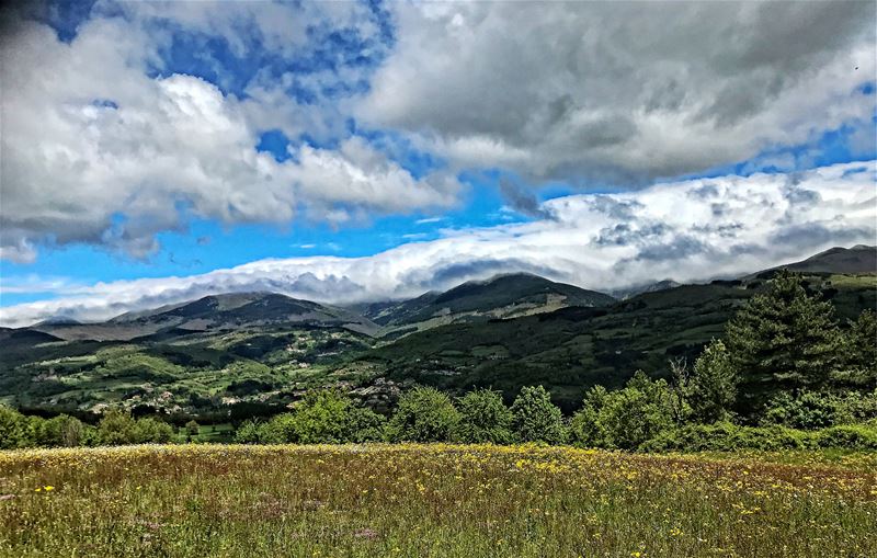 Vakantiegroeten uit Toscane