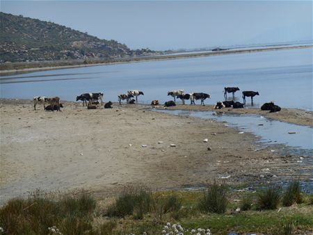 Vakantiegroeten uit Turkije