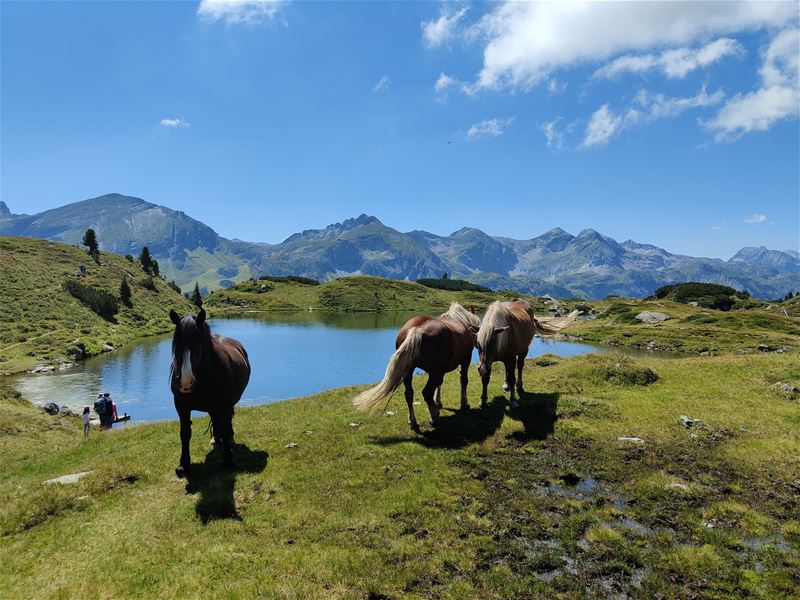 Vakantiegroeten uit Untertauern