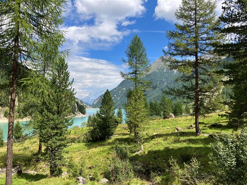 Vakantiegroeten uit Val Martello