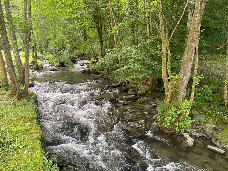 Vakantiegroeten uit Vresse-sur-Semois
