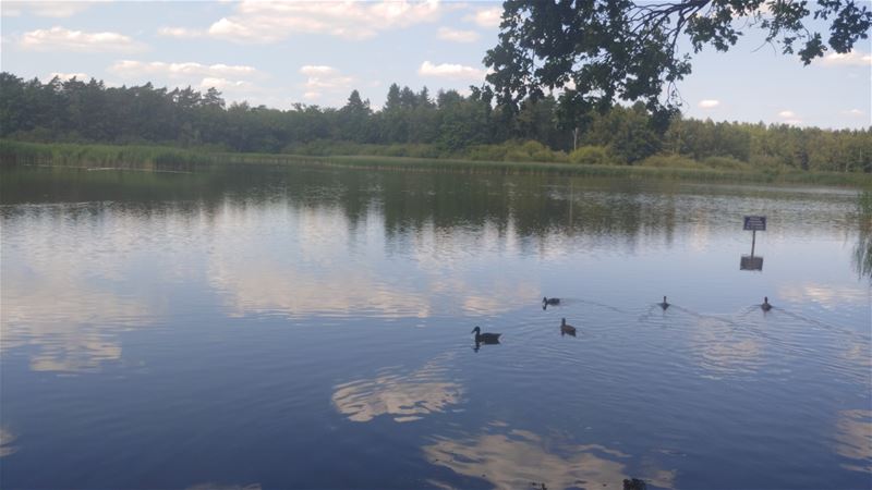 Vakantiegroeten uit Zonhoven