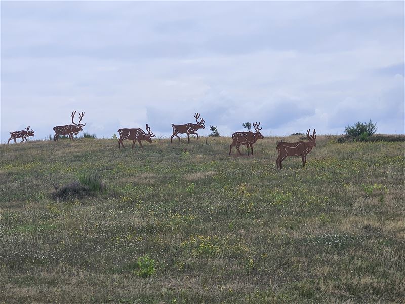 Vakantiegroeten uit Zonhoven
