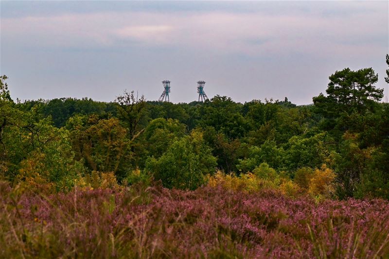 Vakantiegroeten uit Zonhoven