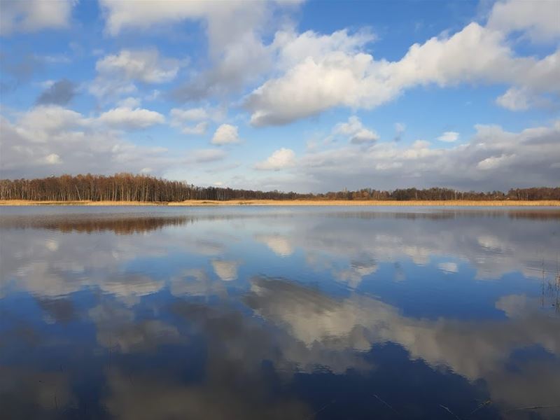 Vakantiegroeten uit Zonhoven