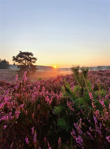 Vakantiegroeten uit Zonhoven